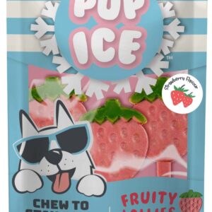 Pup ice hondenijsje fruit lolly Aardbei
