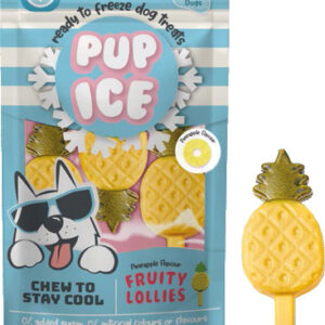 Pup ice hondenijsje fruit lolly ananas