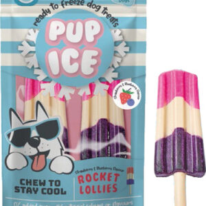 Pup ice hondenijsje raket aardbei/bosbessen
